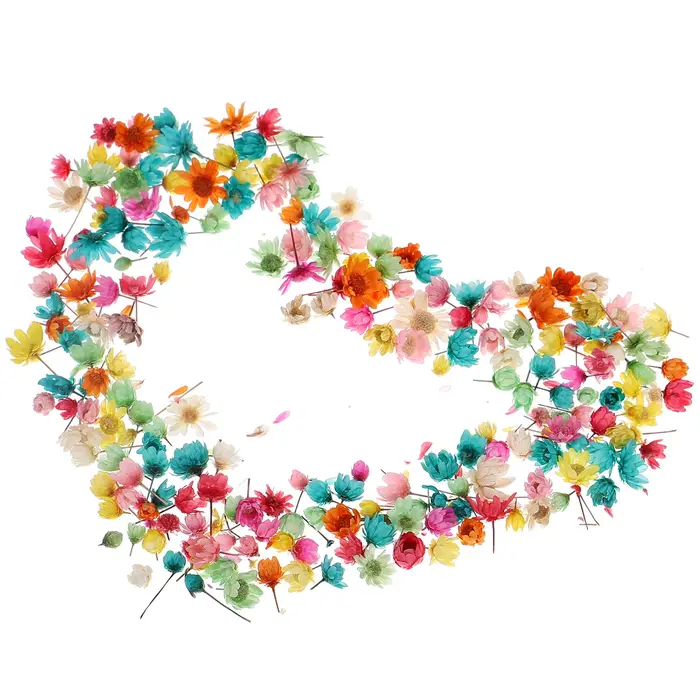 1 sac de fleurs séchées pour bricolage