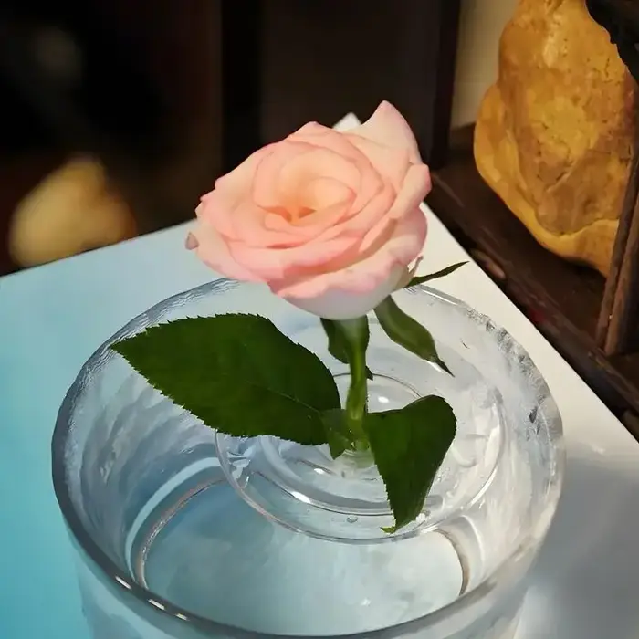 Vase à fleurs flottant en verre : présentoir hydroponique