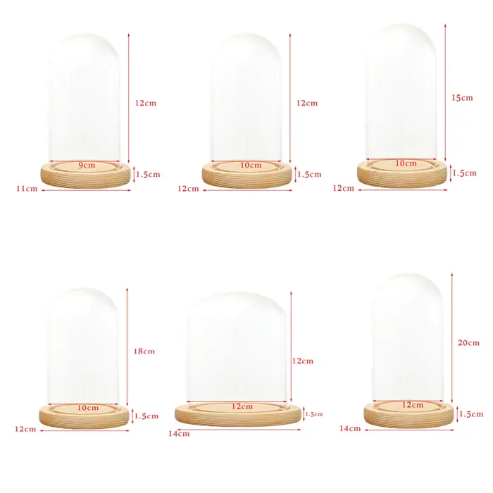 Présentoir de table couvercle en verre Terrarium conteneur décor fleurs sèches ornements artisanat c