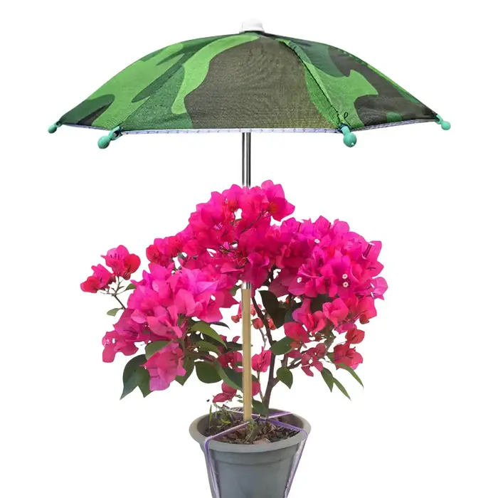 Parasol pour plantes avec piquet métallique