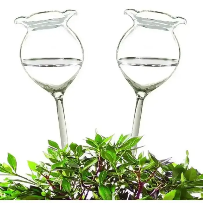Dispositif d'arrosage automatique pour plantes, boule d'arrosage, pointe d'arrosage, verre transpare