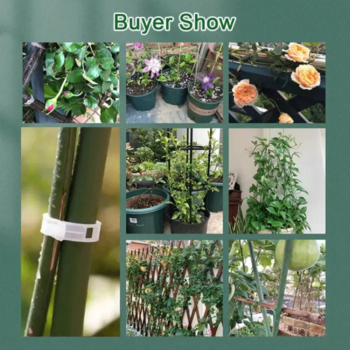 Attaches de fixation pour plantes suspendues