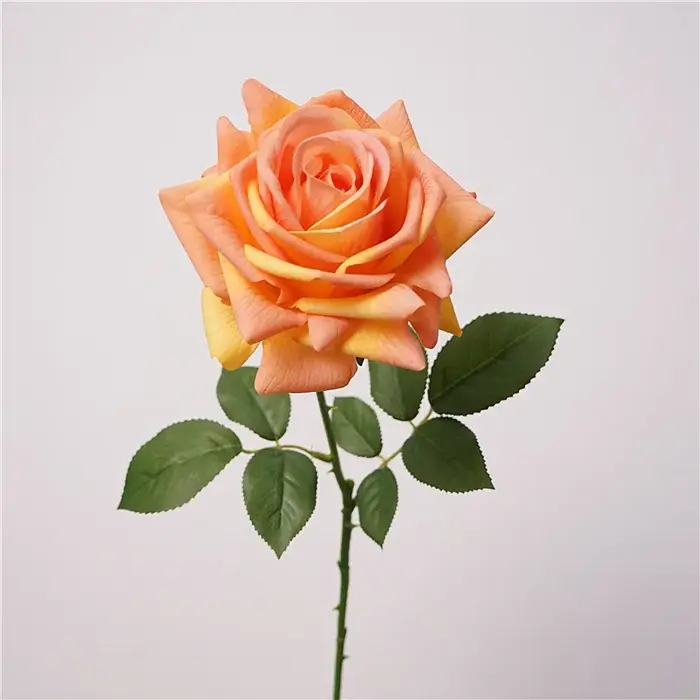 Lot de 5 Roses Artificielles Hydratantes Effet Réel pour Décoration de Mariage