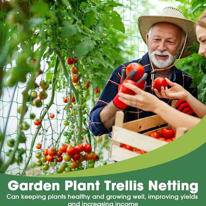Filet de treillis flexible à 9 brins pour plantes grimpantes