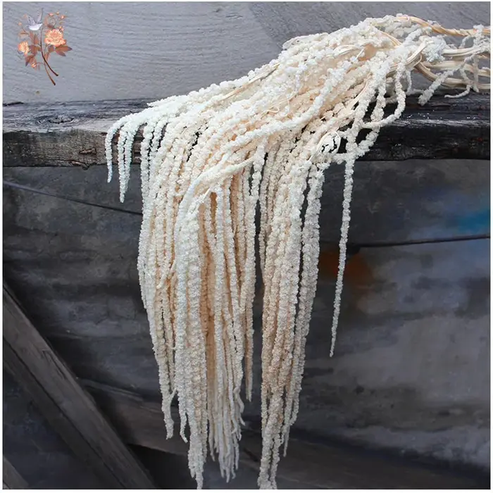 Fleur d'amaranthès suspendue séchée, 5 pièces, centres de table de mariage, structures de cérémonie, décoration d'arc, vrais amoureux blancs, ornements de larmes