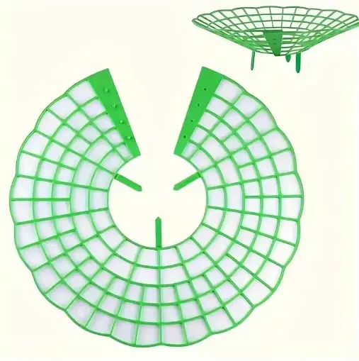 Supports pour plantes de fraises