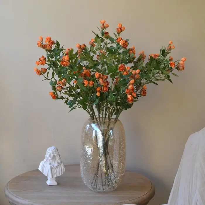 Mini Bouquet de roses, plantes