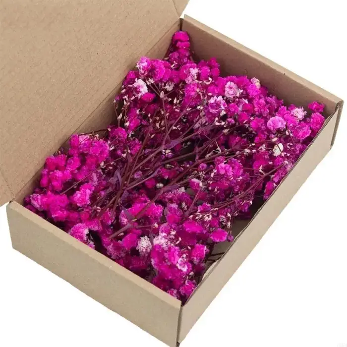 Paquet 50 fausses fleurs gypsophile séchées avec tiges vertes pour bouquets