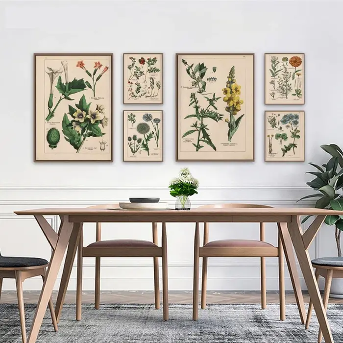 Affiches et imprimés d'herbes botaniques Vintage