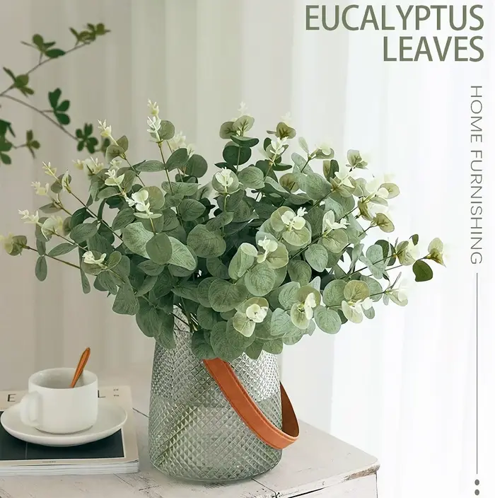 Tiges de feuilles d'eucalyptus