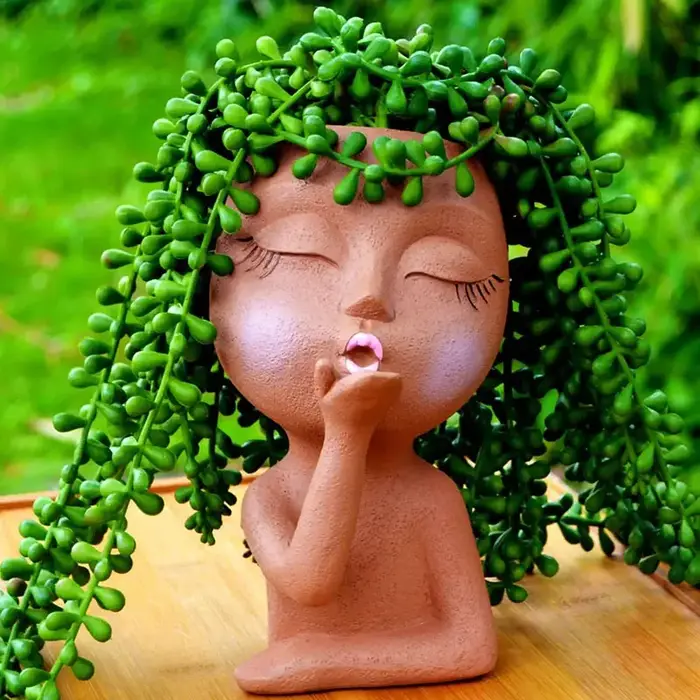 Jardinière de fleurs pour filles, plante succulente, conteneur de fleurs, Pot de fleurs, décoration de maison, ornement de table, décoration de jardin