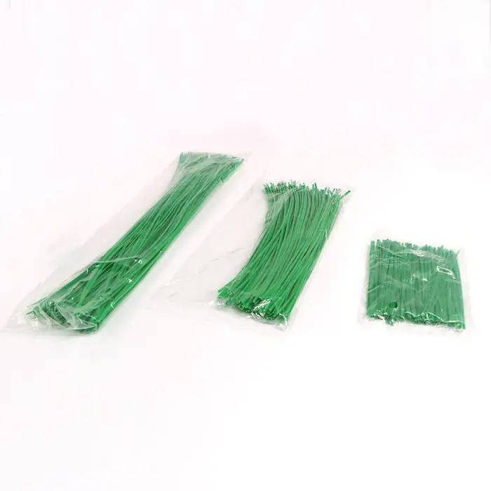 Plante grimpante de vigne verte