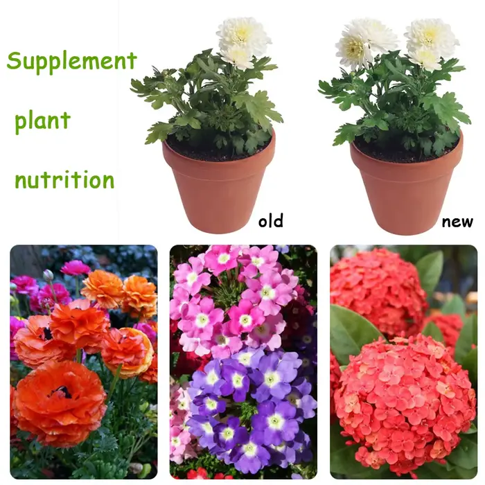 Mini paquet d'engrais organique 10 G
