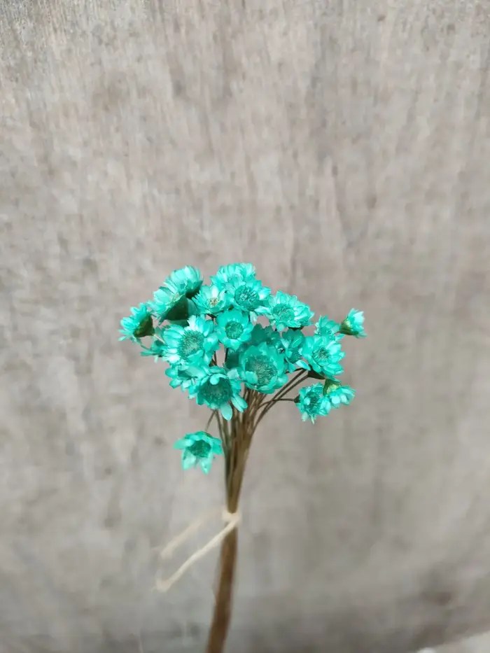 Mini bouquet de fleurs séchées artificielles