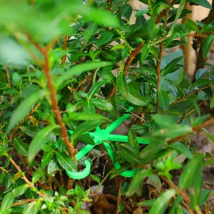 Kit de 4 supports anti-éclatement pour plantes