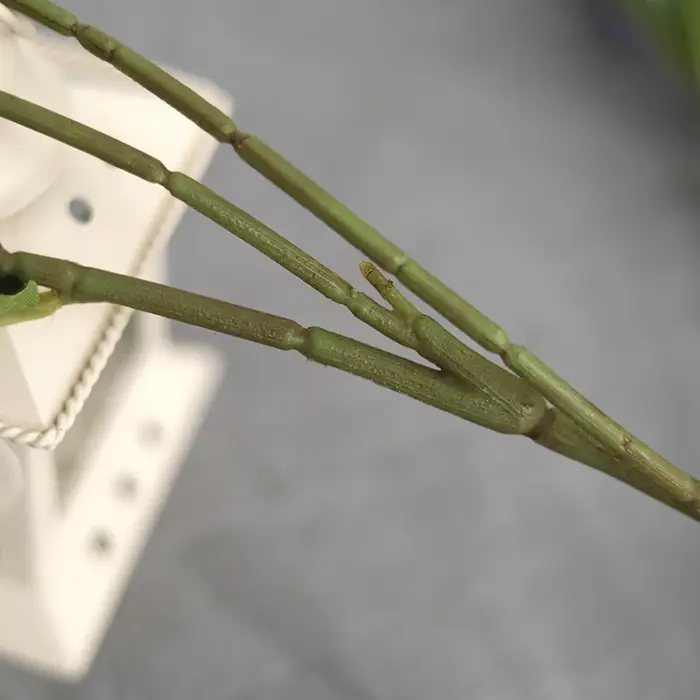Fausses fleurs d'anémone à 3 têtes