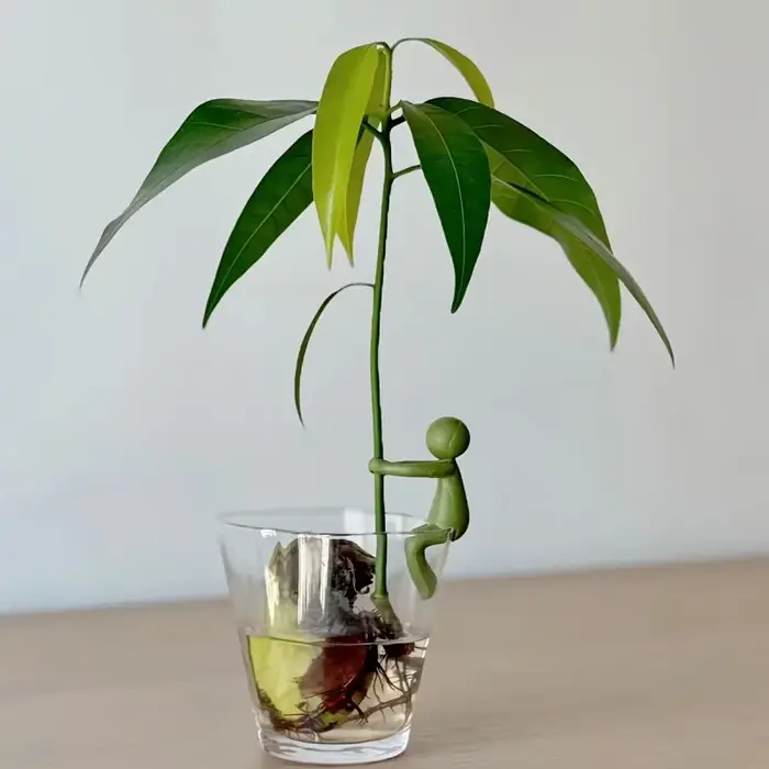 Support pour plantes coloré à 3 niveaux - Le support à fleurs en plastique présente un design unique, pratique pour la culture des plantes et le rangement des fleurs, V