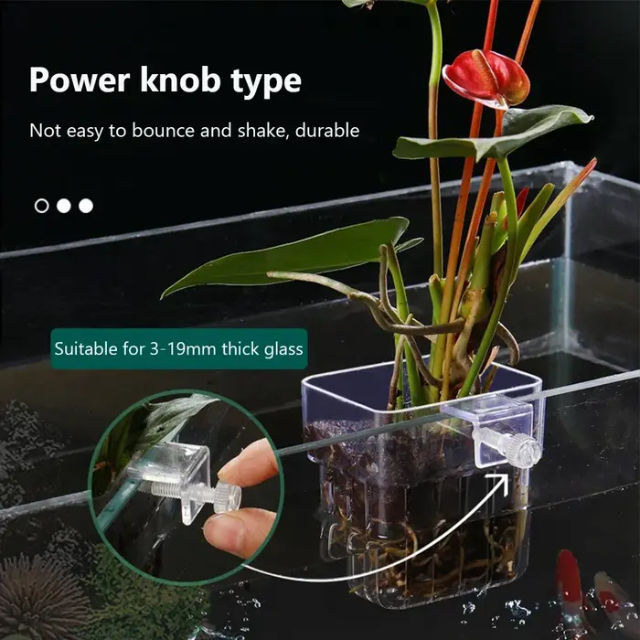 Panier de plantes d'aquarium Transparent