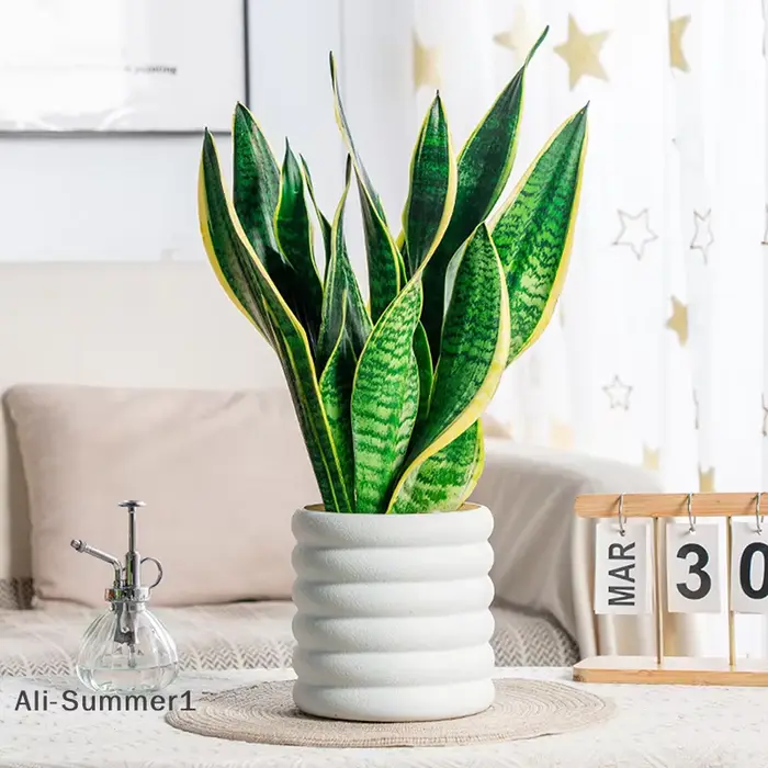 Pot de fleur en plastique semblable à une porcelaine