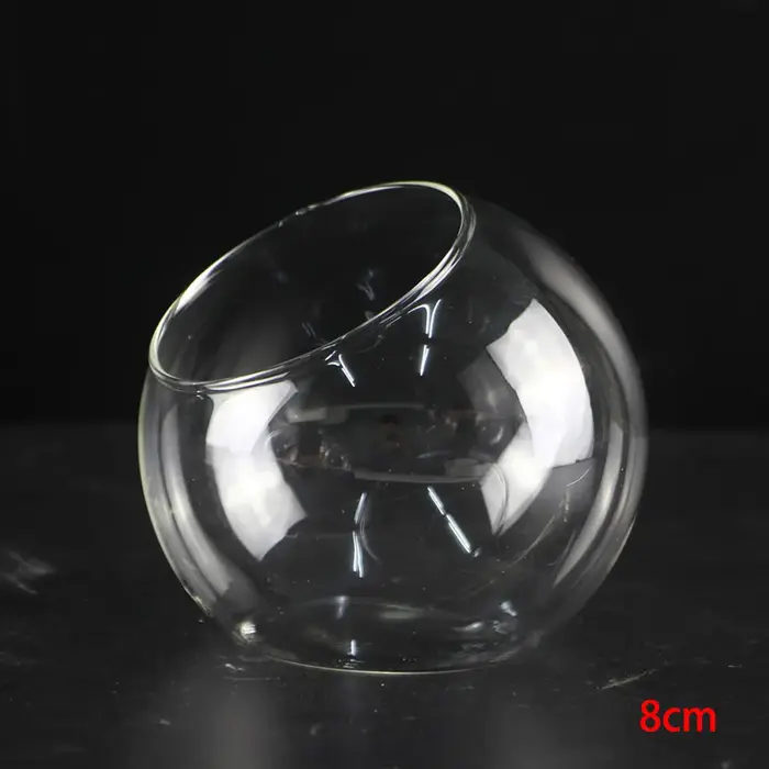 8/10/12 cm Micro paysage Vase en verre plante succulente Terrarium conteneur Pot de fleur Vase Mini 