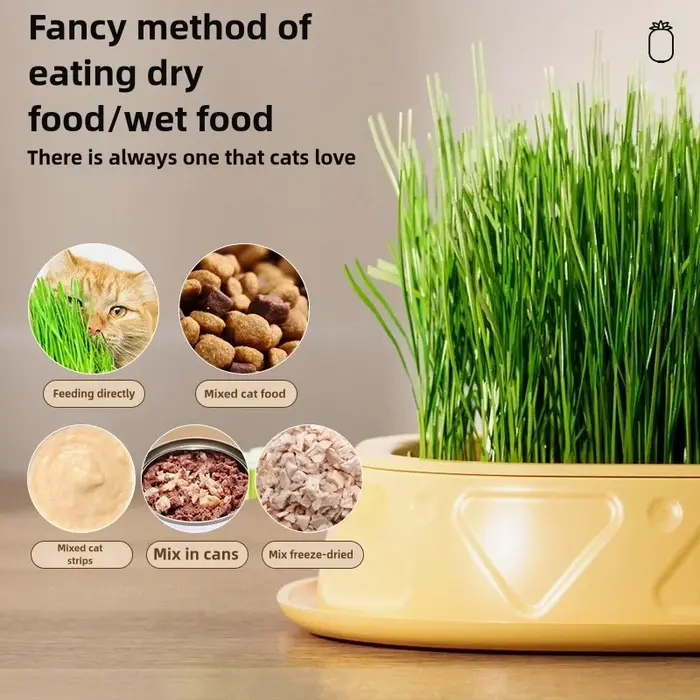 Jardinière hydroponique d'herbe pour chat