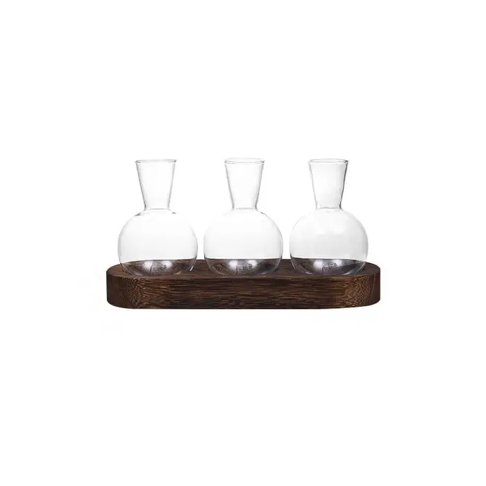 Vase en verre pour Terrarium de plantes
