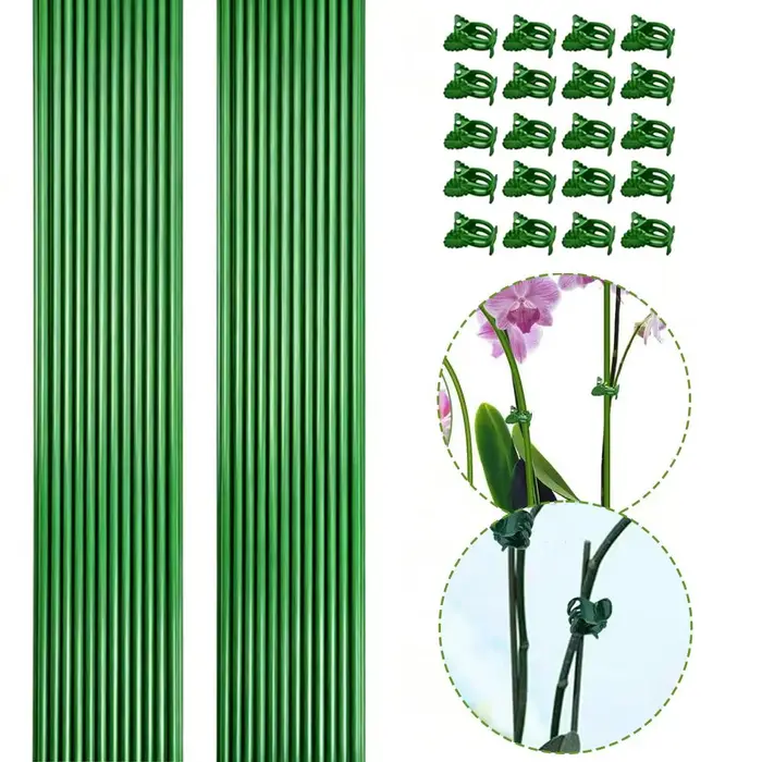 Piquets de Soutien pour Plantes