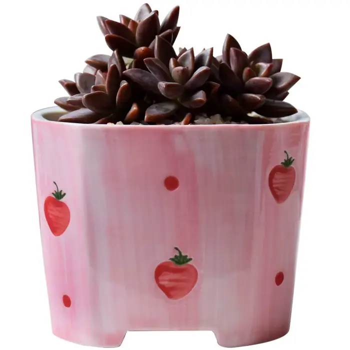 Pot de fleurs succulentes carré en céramique peint à la main pour fille rose