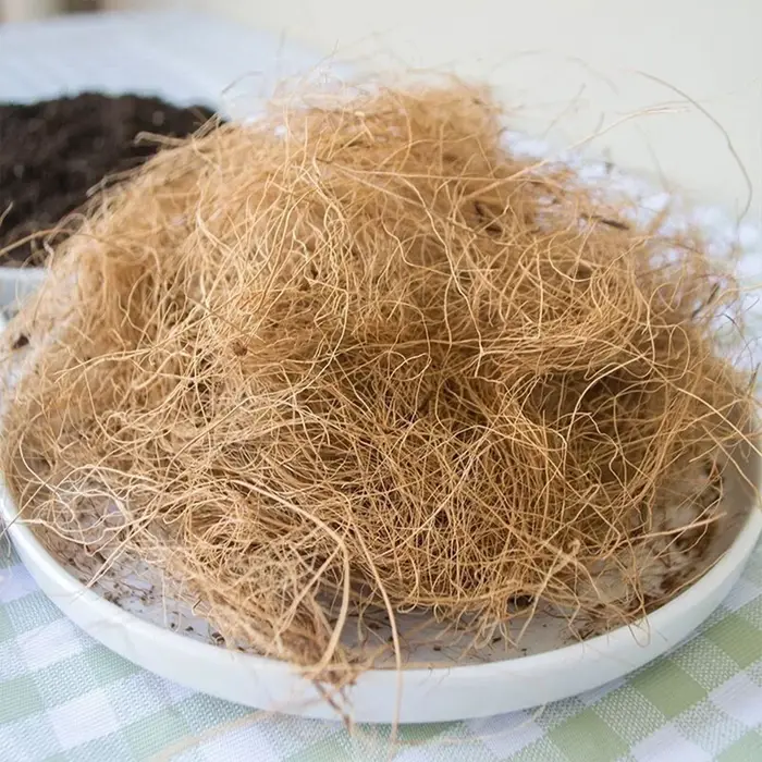 Communautés teur sans poussière en fibre AMP pour les amateurs de jardin