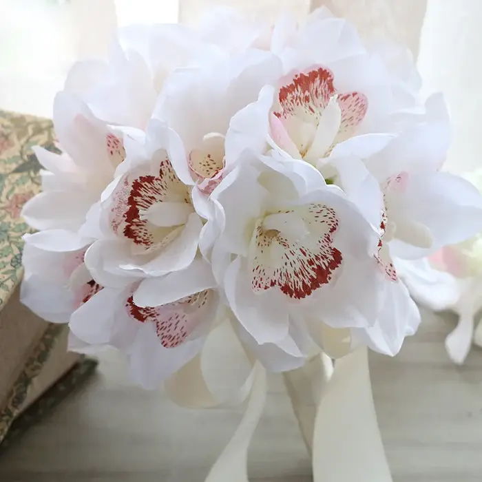 Simulation de fleur Cymbidium