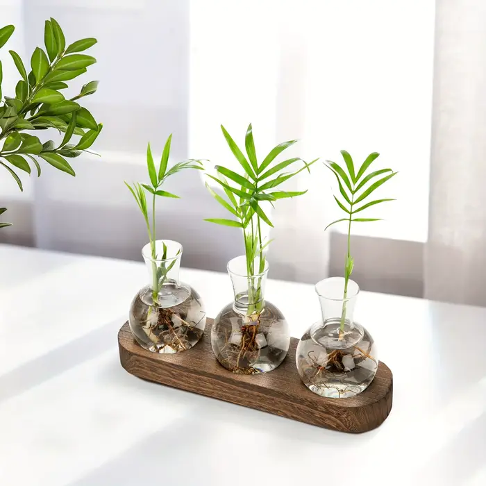 Terrarium de plantes en verre moderne avec plateau en bois – Vase hydroponique pour station de propagation intérieure