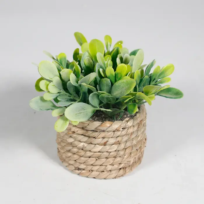 Plante artificielle verte en pot, herbe d'eucalyptus, 11 cm, plantes en pot simulées, feuilles en pl