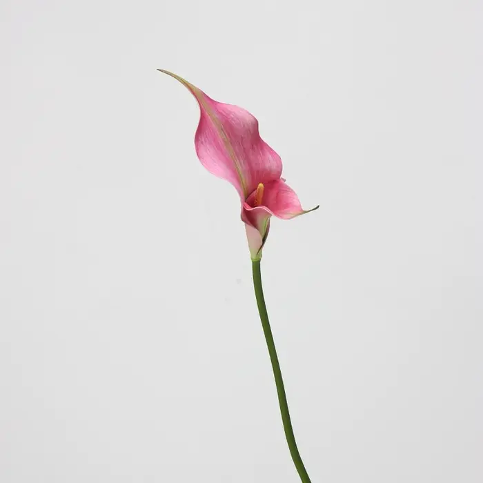 EVA – fleur artificielle de lys Calla, matériaux d'arrangement Floral de mariage, Table de salon, dé
