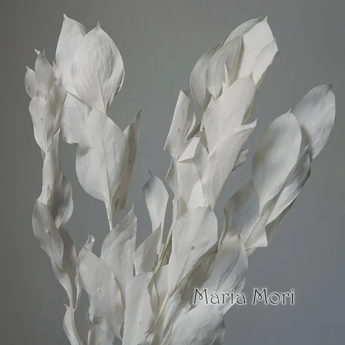 5 pièces/fleur conservée de blanchiment séché feuilles d'orange lys bambou pour arrangement floral fait à la main bureau maison décoration de mariage