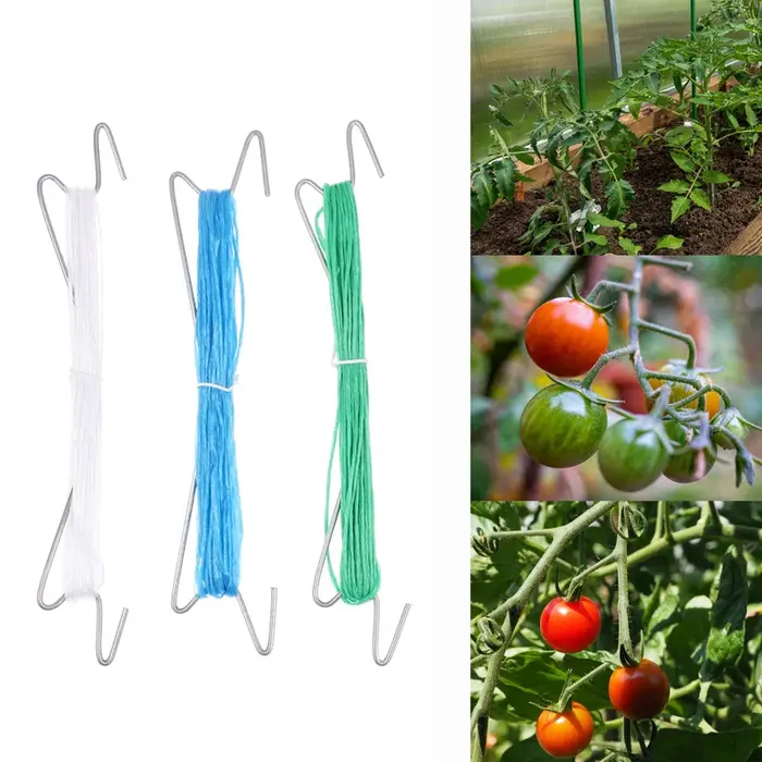 Lot de 10 crochets de fixation pour plantes avec corde de 10 m + 20