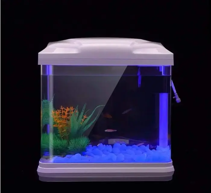 Roches d'aquarium scintillantes