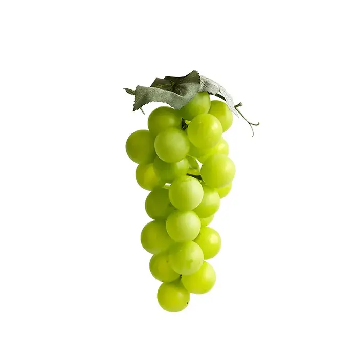 Modèle de raisin vert réaliste Qingwang