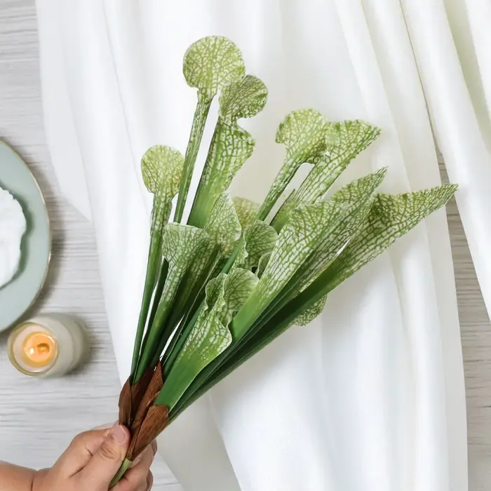 Brosse à bouteille artificielle de 17 pouces