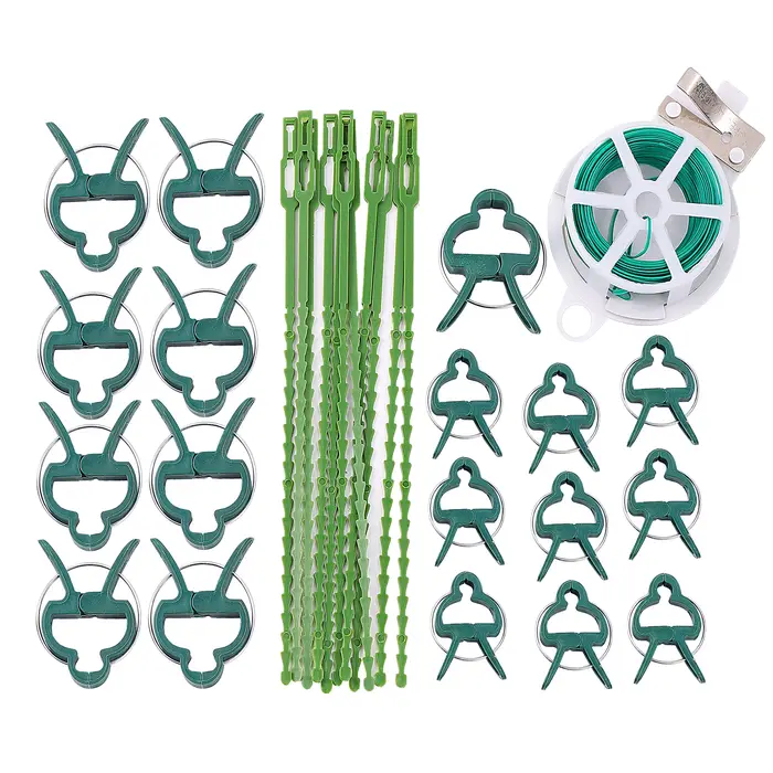Plante de jardin grimpante avec clip