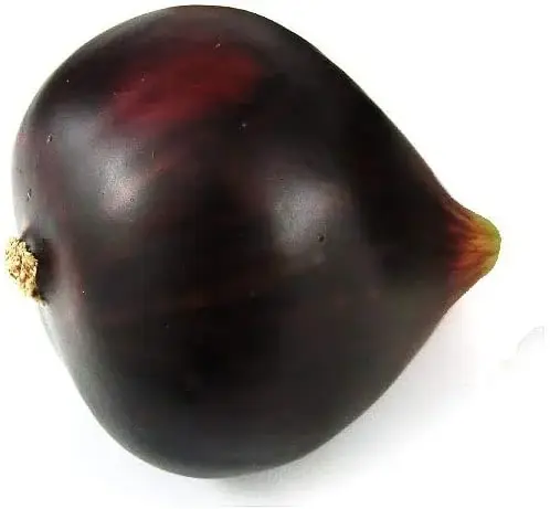 Figues aux fruits artificiels