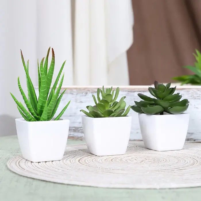 1 ensemble de bonsaï de plantes artificielles à feuilles persistantes, adapté à la maison, au Restau