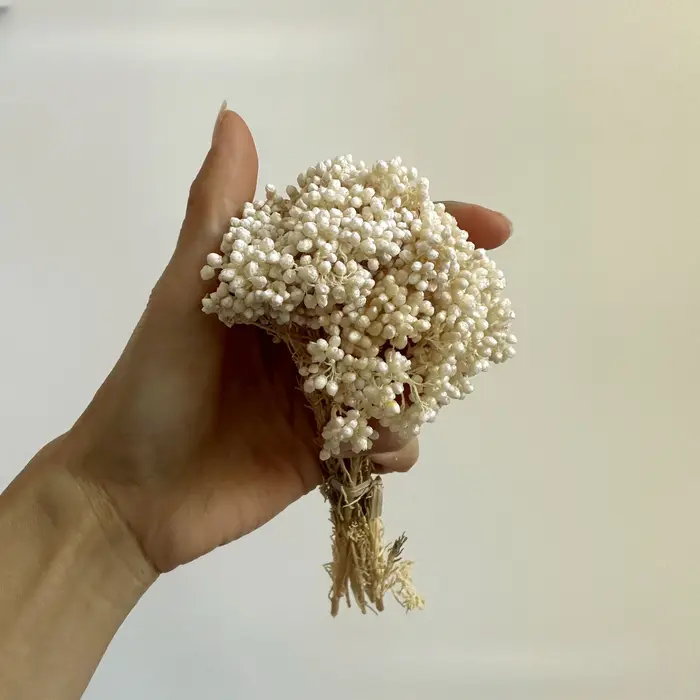 Fleurs de riz séchées naturelles