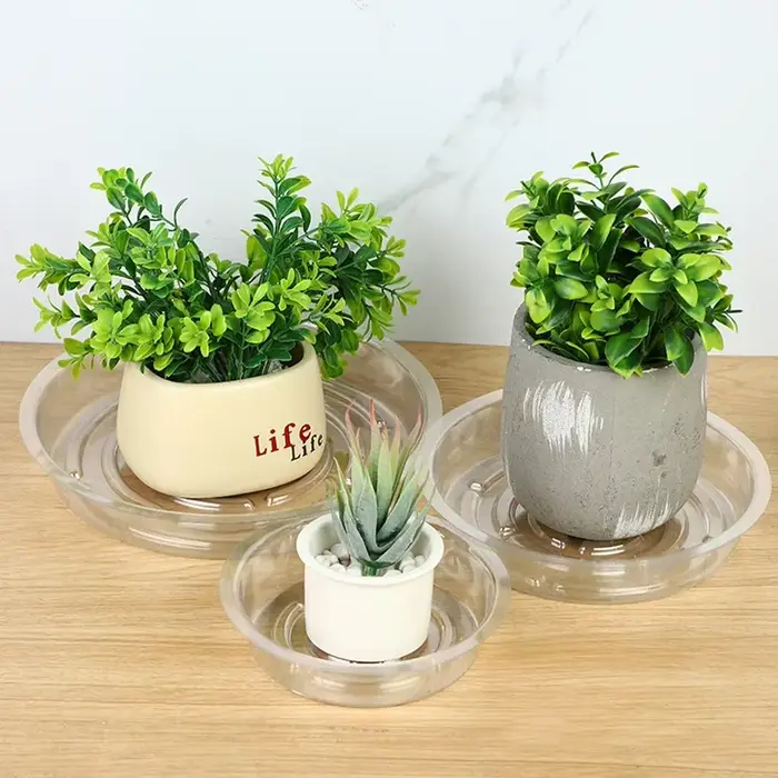 Soucoupe pour plantes de jardin