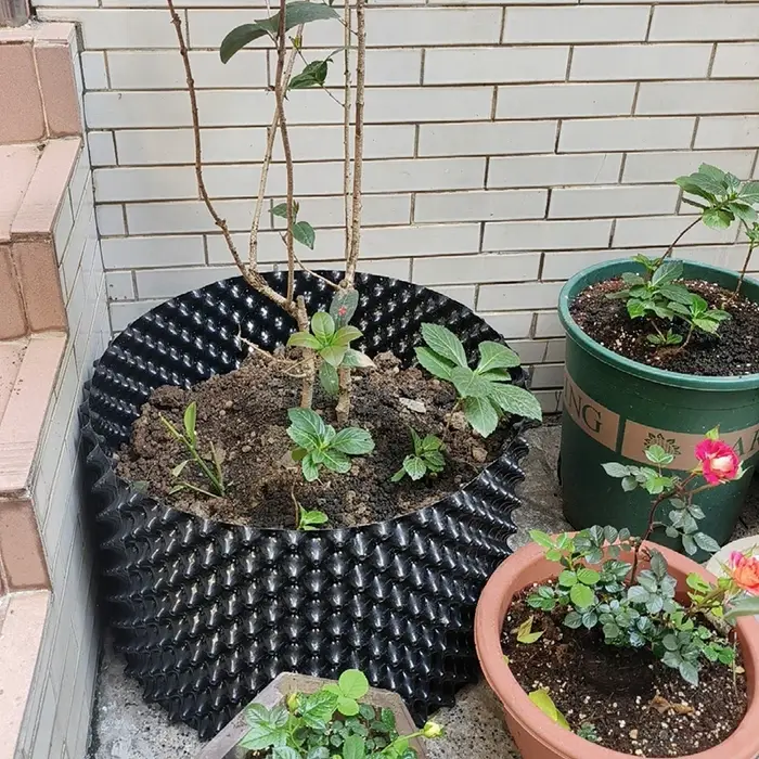 Pots de taille aérienne en plastique