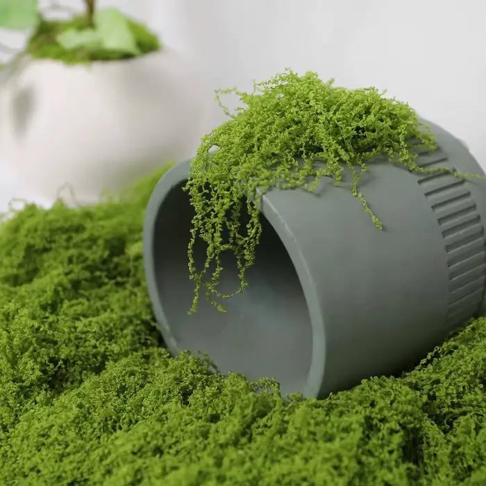 30/100g plantes vertes artificielles mousse vie éternelle