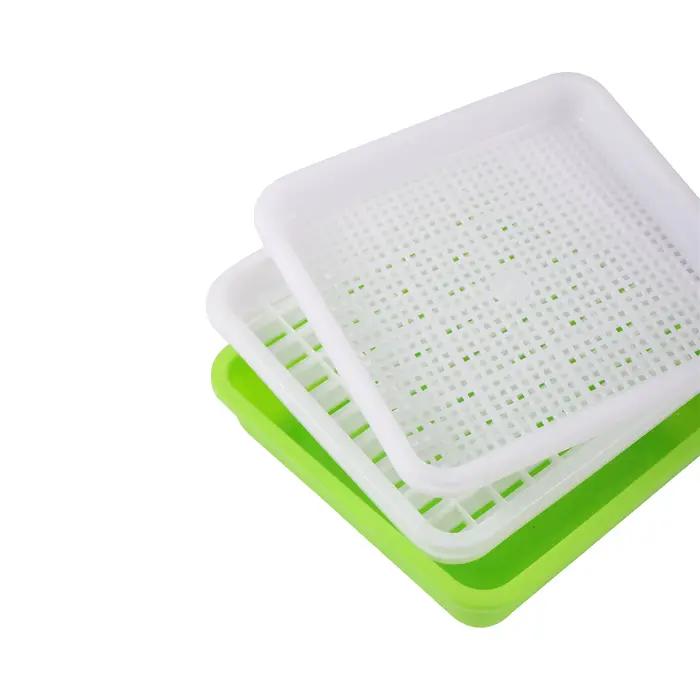 Boîte hydroponique pour germer des cacahuètes