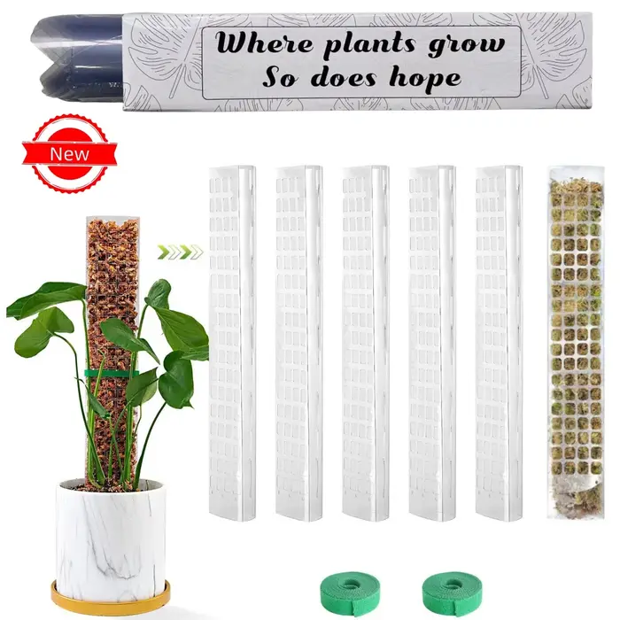 Plantes mousse pôle jardin sujet fleur plante grimpeurs bonsaï accessoires Pots Tutors