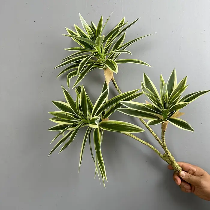 Plantes vertes simulées 3 têtes de bambou de lys décorées