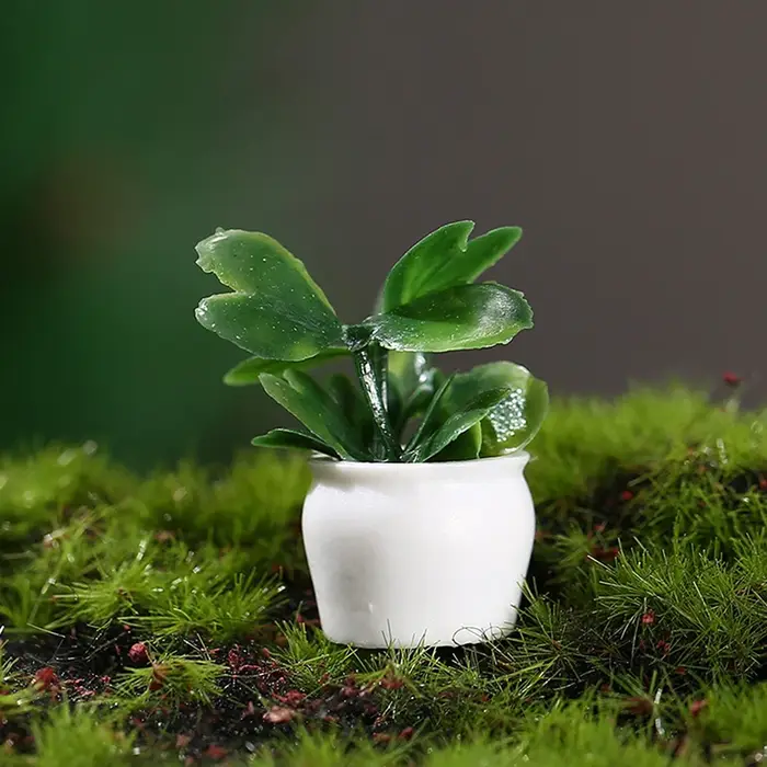 Plantes vertes miniatures en pot