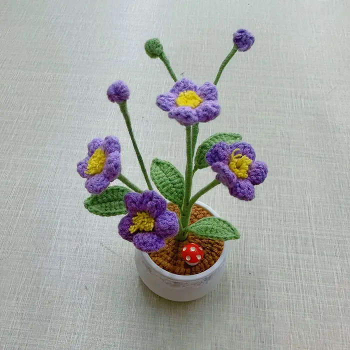 Pot de plante en crochet Oxalis fini à la main